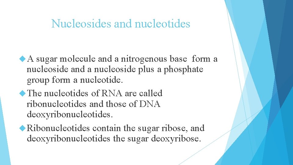 Nucleosides and nucleotides A sugar molecule and a nitrogenous base form a nucleoside and