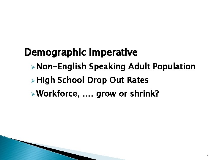 Demographic Imperative Ø Non-English Ø High Speaking Adult Population School Drop Out Rates Ø