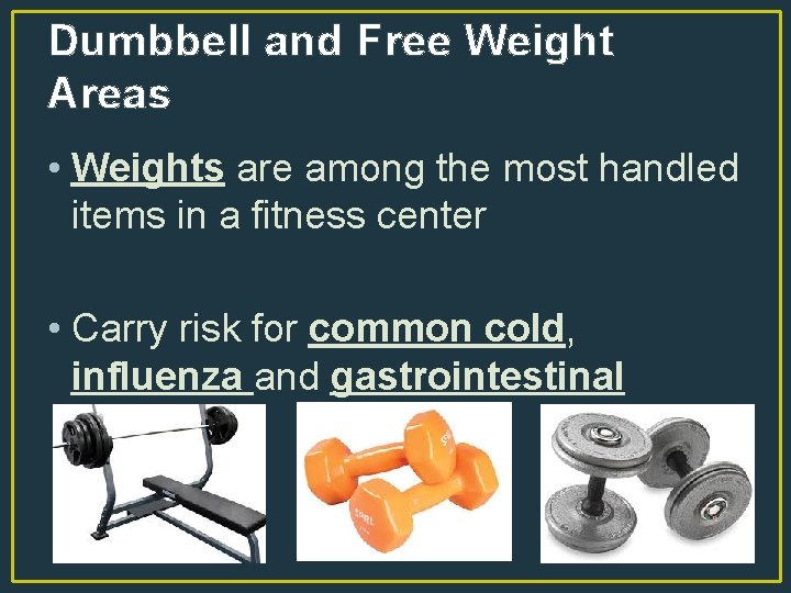 Dumbbell and Free Weight Areas • Weights are among the most handled items in
