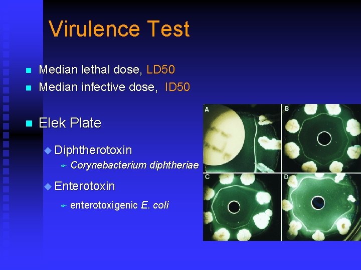 Virulence Test n Median lethal dose, LD 50 Median infective dose, ID 50 n