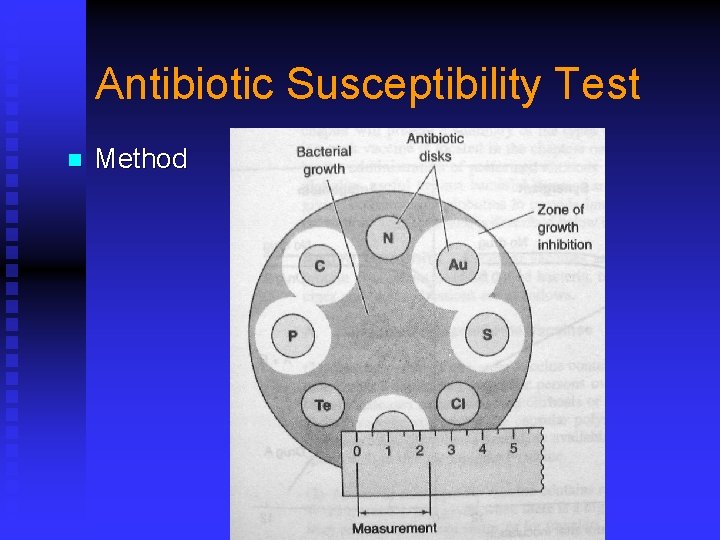 Antibiotic Susceptibility Test n Method 