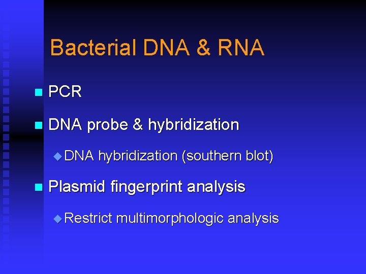 Bacterial DNA & RNA n PCR n DNA probe & hybridization u DNA n