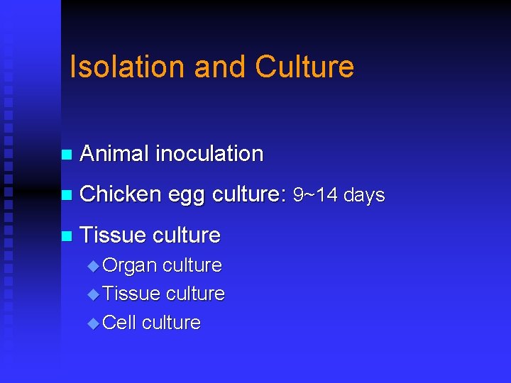 Isolation and Culture n Animal inoculation n Chicken egg culture: 9~14 days n Tissue