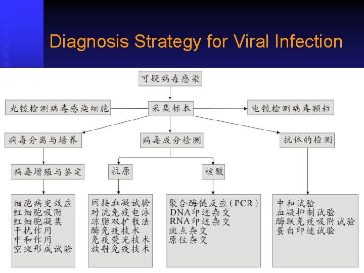 Diagnosis Strategy for Viral Infection 