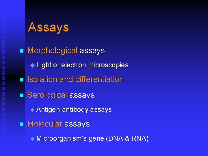 Assays n Morphological assays u Light or electron microscopies n Isolation and differentiation n