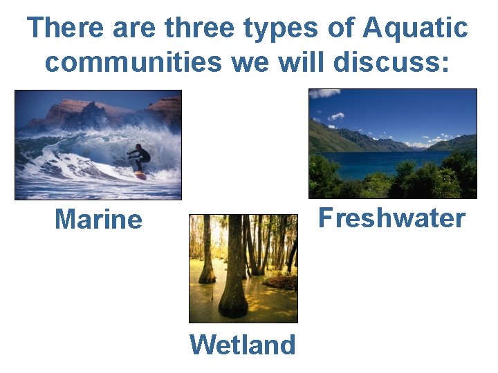 There are three types of Aquatic communities we will discuss: Freshwater Marine Wetland 