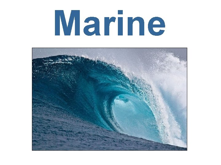 Marine 