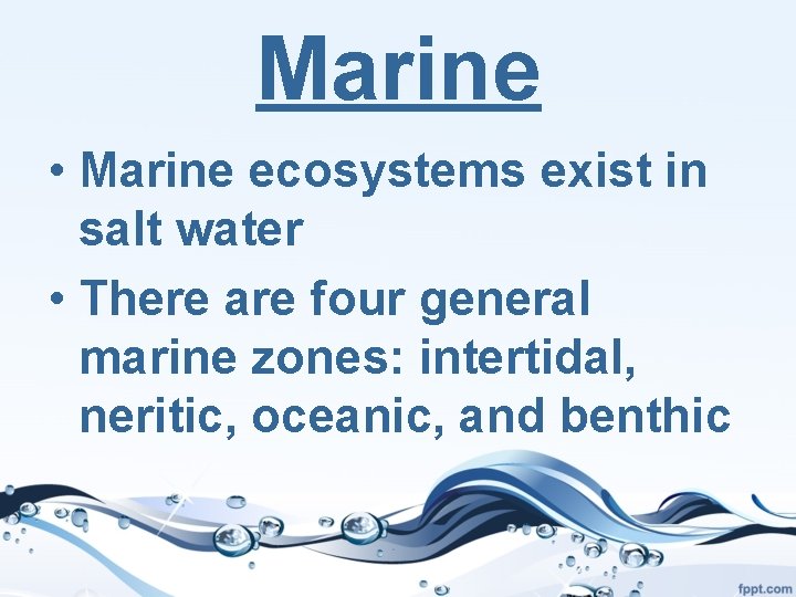 Marine • Marine ecosystems exist in salt water • There are four general marine