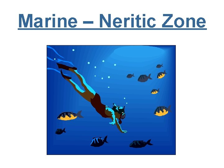 Marine – Neritic Zone 