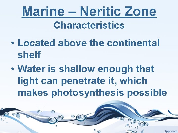 Marine – Neritic Zone Characteristics • Located above the continental shelf • Water is