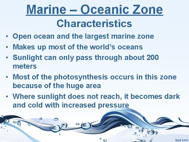 Marine – Oceanic Zone Characteristics • Open ocean and the largest marine zone •