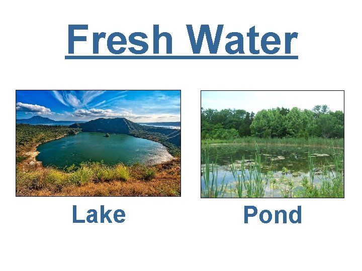 Fresh Water Lake Pond 