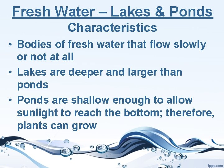 Fresh Water – Lakes & Ponds Characteristics • Bodies of fresh water that flow
