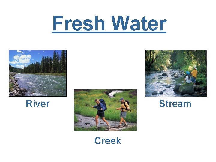 Fresh Water Stream River Creek 