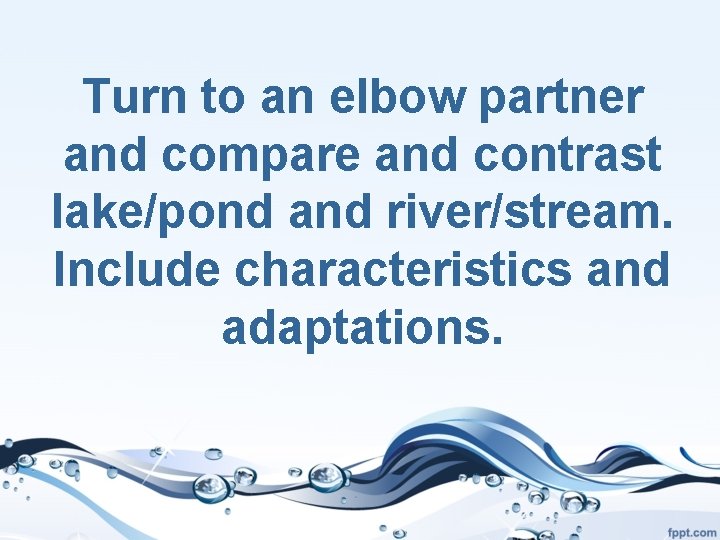 Turn to an elbow partner and compare and contrast lake/pond and river/stream. Include characteristics
