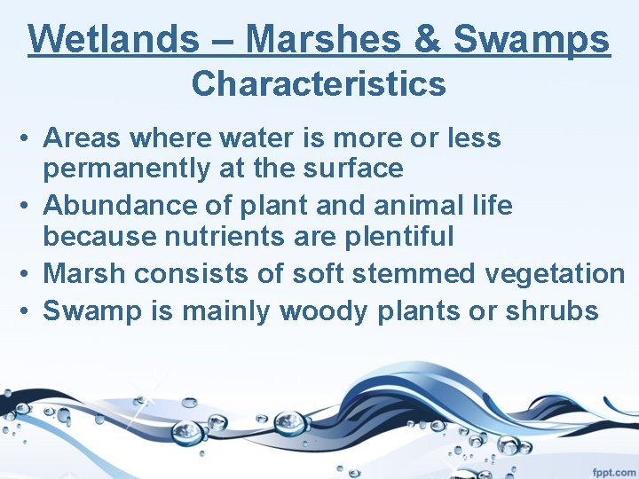 Wetlands – Marshes & Swamps Characteristics • Areas where water is more or less