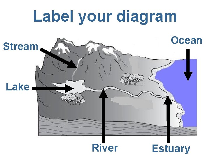 Label your diagram Ocean Stream Lake River Estuary 