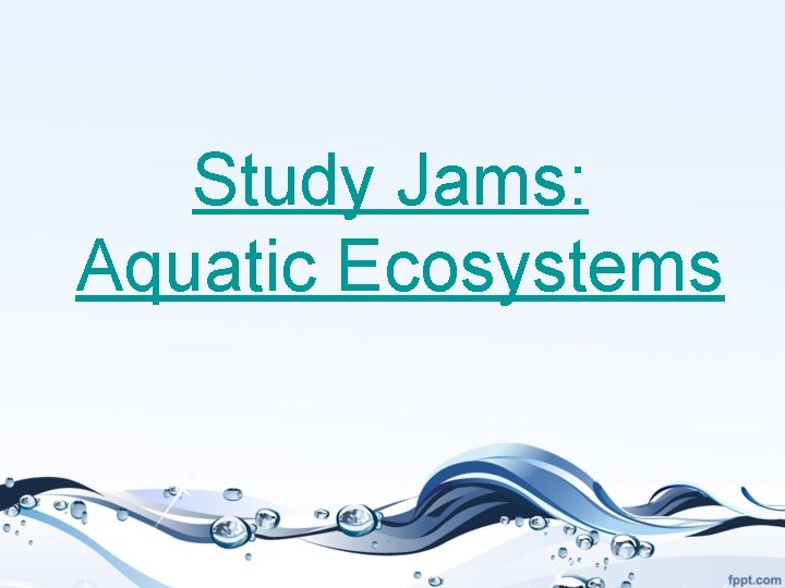Study Jams: Aquatic Ecosystems 