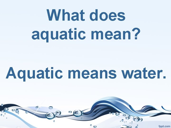 What does aquatic mean? Aquatic means water. 
