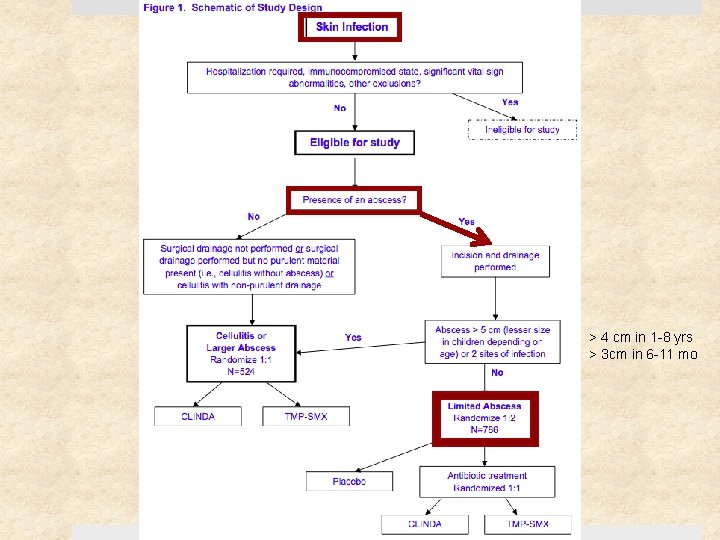 > 4 cm in 1 -8 yrs > 3 cm in 6 -11 mo