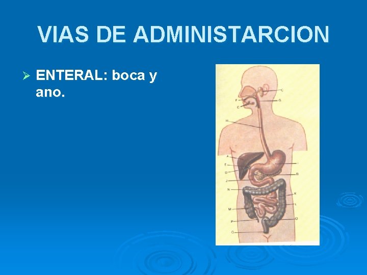 VIAS DE ADMINISTARCION Ø ENTERAL: boca y ano. 