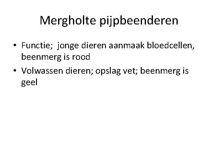 Mergholte pijpbeenderen • Functie; jonge dieren aanmaak bloedcellen, beenmerg is rood • Volwassen dieren;