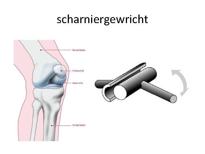 scharniergewricht 