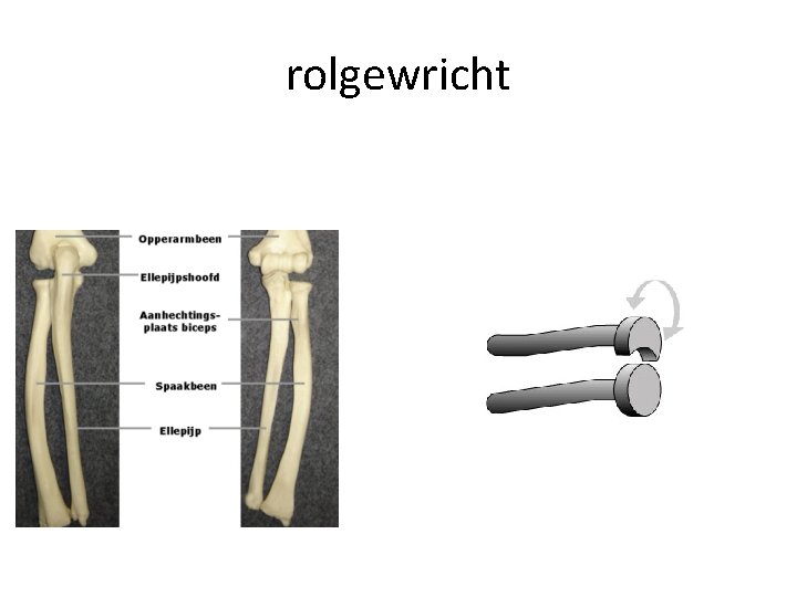 rolgewricht 