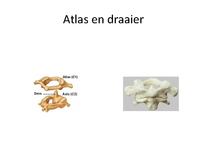 Atlas en draaier 