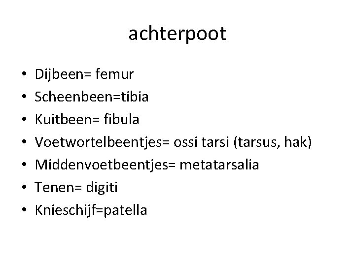 achterpoot • • Dijbeen= femur Scheenbeen=tibia Kuitbeen= fibula Voetwortelbeentjes= ossi tarsi (tarsus, hak) Middenvoetbeentjes=