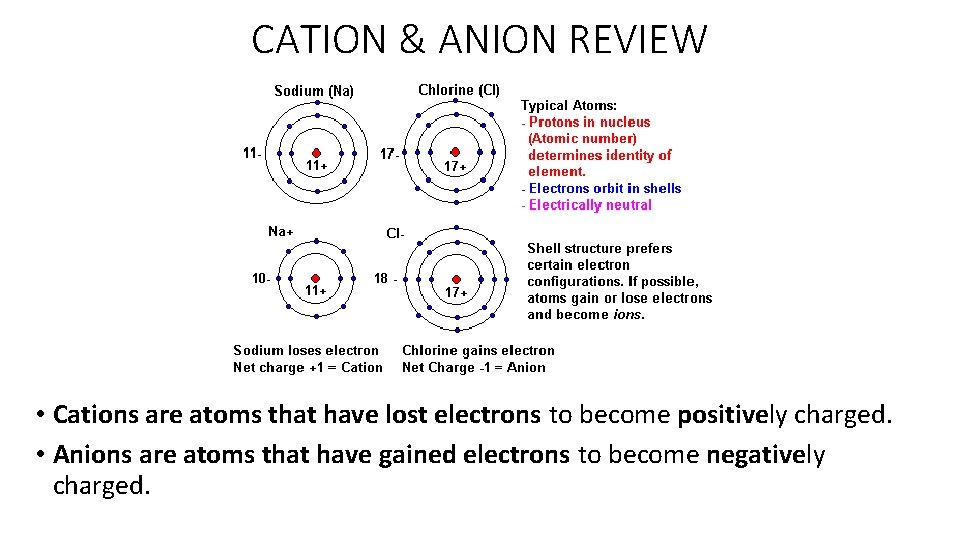 CATION & ANION REVIEW • Cations are atoms that have lost electrons to become
