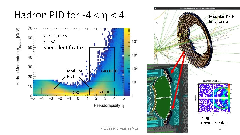 Hadron PID for -4 < h < 4 Modular RICH in GEANT 4 20