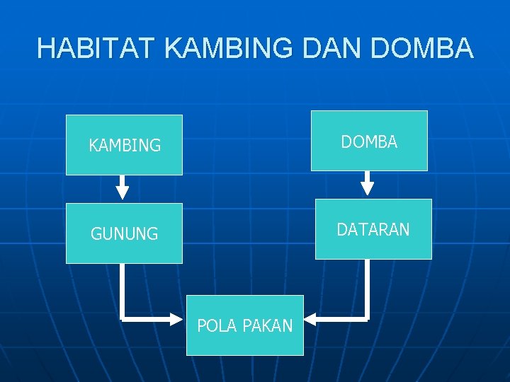 HABITAT KAMBING DAN DOMBA KAMBING DOMBA GUNUNG DATARAN POLA PAKAN 