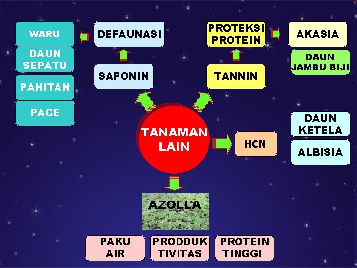 WARU DAUN SEPATU PAHITAN DEFAUNASI PROTEKSI PROTEIN SAPONIN TANNIN PACE TANAMAN LAIN PRODDUK TIVITAS