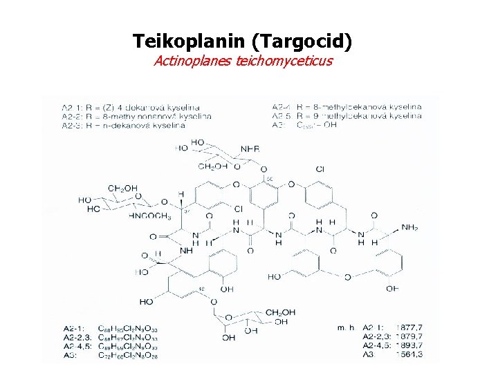 Teikoplanin (Targocid) Actinoplanes teichomyceticus 