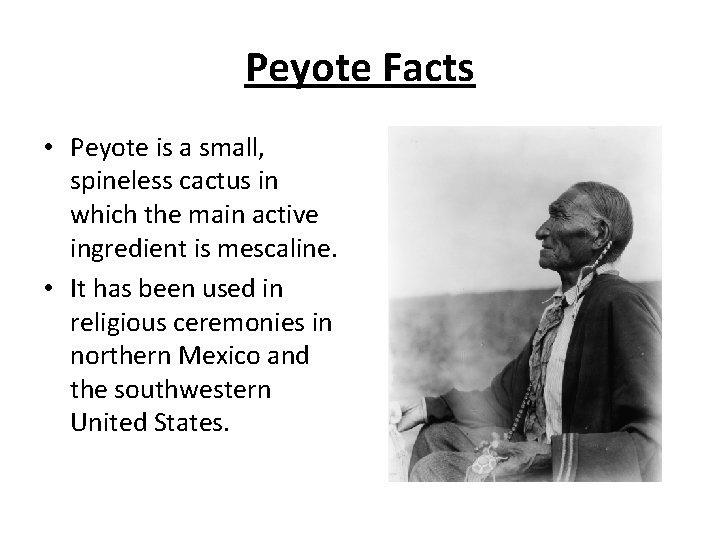 Peyote Facts • Peyote is a small, spineless cactus in which the main active
