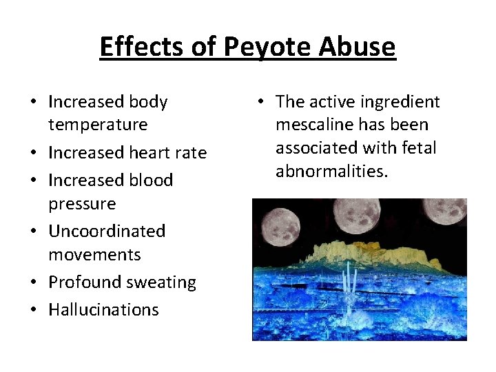 Effects of Peyote Abuse • Increased body temperature • Increased heart rate • Increased