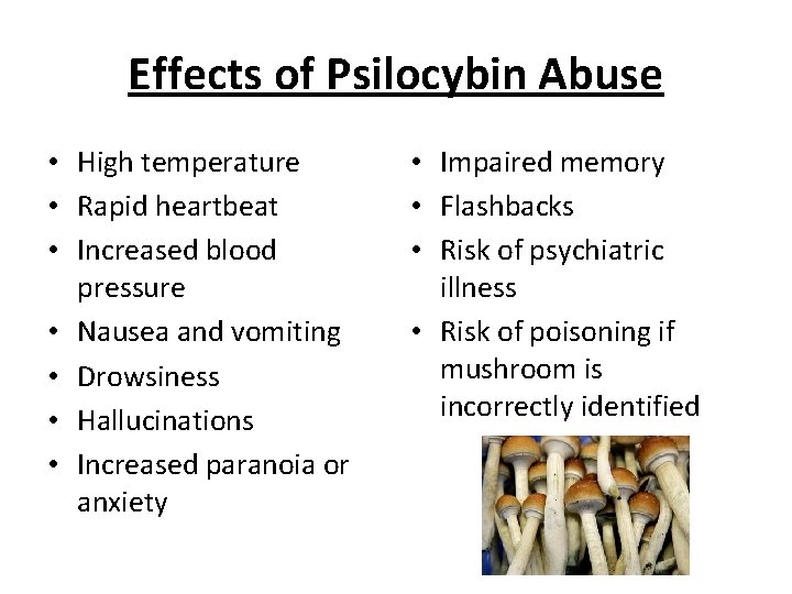 Effects of Psilocybin Abuse • High temperature • Rapid heartbeat • Increased blood pressure