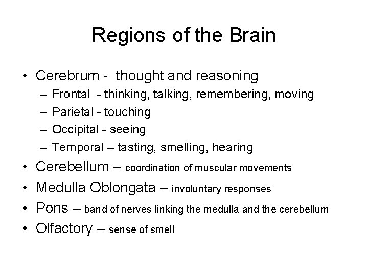 Regions of the Brain • Cerebrum - thought and reasoning – – • •