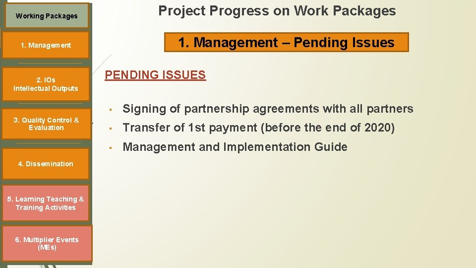 Project Progress on Work Packages Working Packages 1. Management – Pending Issues 1. Management