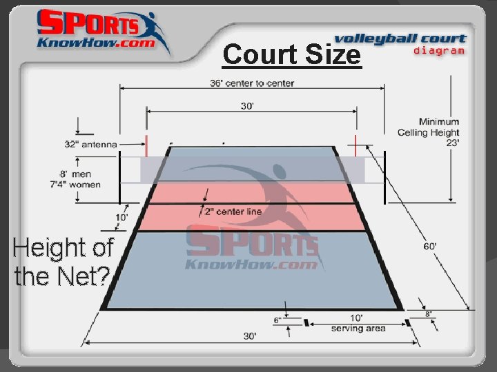 Court Size Height of the Net? 