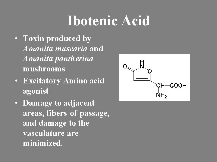 Ibotenic Acid • Toxin produced by Amanita muscaria and Amanita pantherina mushrooms • Excitatory