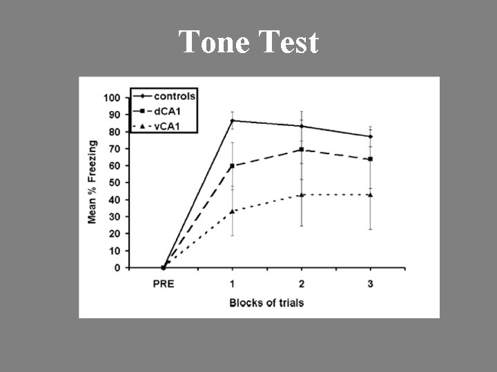 Tone Test 