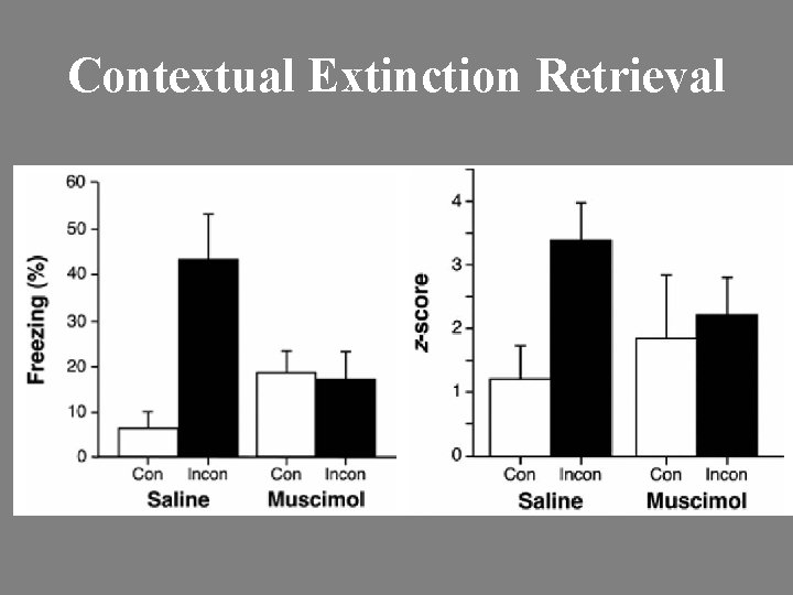 Contextual Extinction Retrieval 