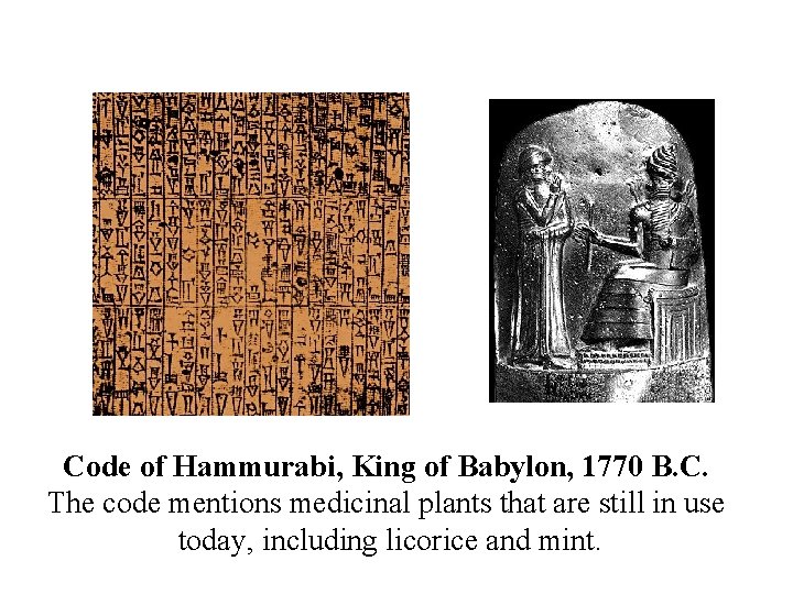 Code of Hammurabi, King of Babylon, 1770 B. C. The code mentions medicinal plants