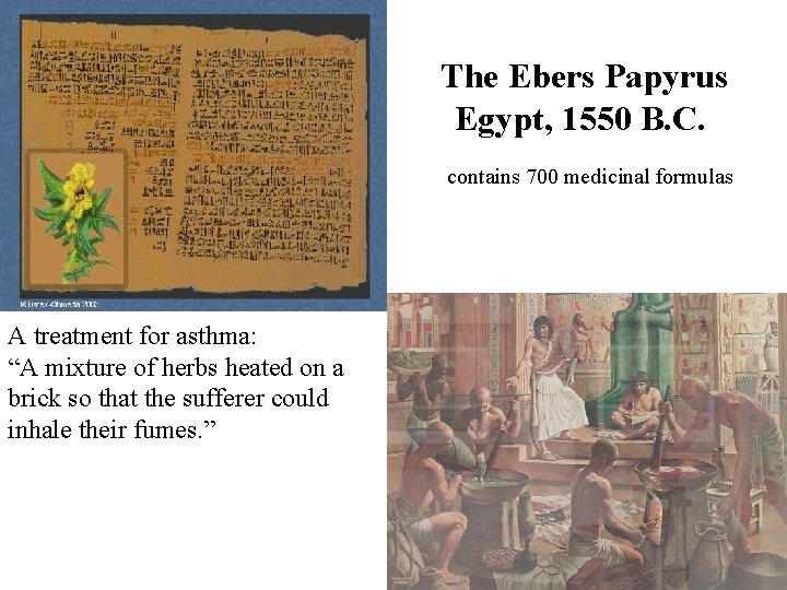 The Ebers Papyrus Egypt, 1550 B. C. contains 700 medicinal formulas A treatment for