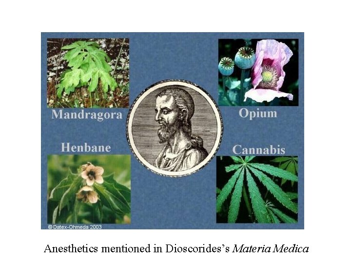 Anesthetics mentioned in Dioscorides’s Materia Medica 