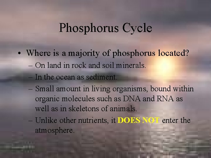 Phosphorus Cycle • Where is a majority of phosphorus located? – On land in