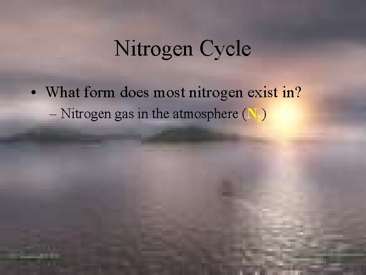 Nitrogen Cycle • What form does most nitrogen exist in? – Nitrogen gas in