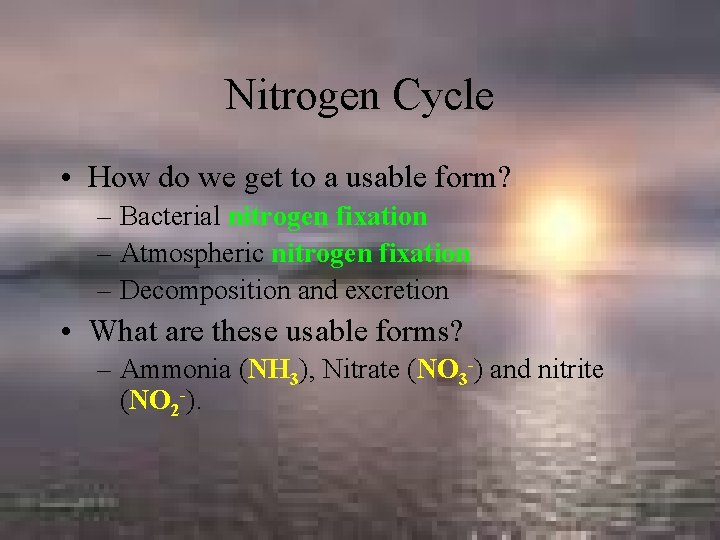Nitrogen Cycle • How do we get to a usable form? – Bacterial nitrogen
